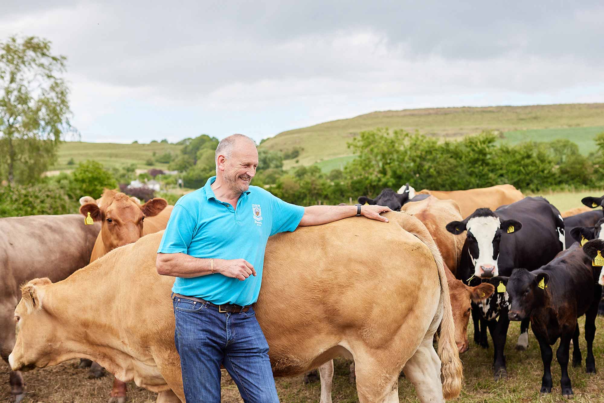 Owner Martin with his beloved cows