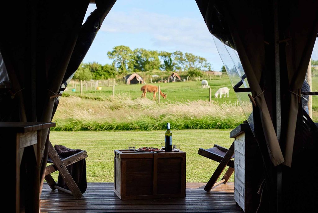 View of the countryside and alpacas from the Featherdown glamping