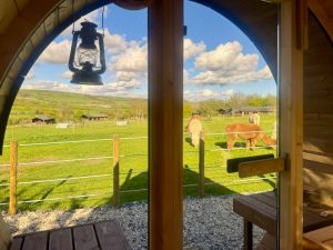 View of the Dorset countryside from inside the Sauna